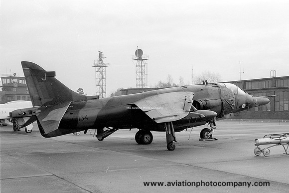 RAF 3 Squadron HS Harrier GR.3 XZ134/J (1979)