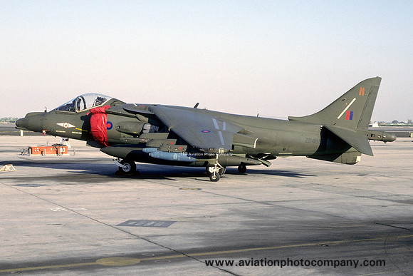 RAF 1 Squadron BAE Harrier GR.7 ZD465/11 (1993)