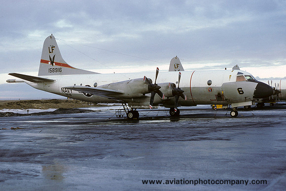 US Navy VP-16 Lockheed P-3C Orion 158916/LF-6 (1978)