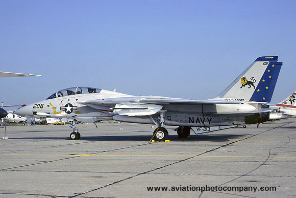 US Navy VF-213 Grumman F-14A Tomcat 159871/206 (1977)
