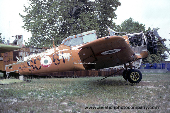 Italian Air Force North American T-6G MM53657/SC-61 (1987)
