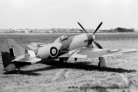 RAF Hawker Tempest VI NX135