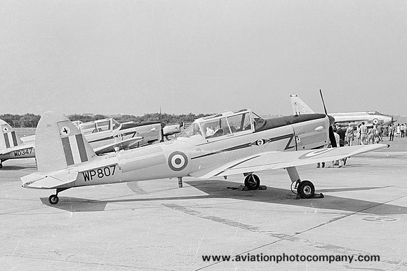 RAF CFS Skylarks DHC-1 Chipmunk T.10 WP807
