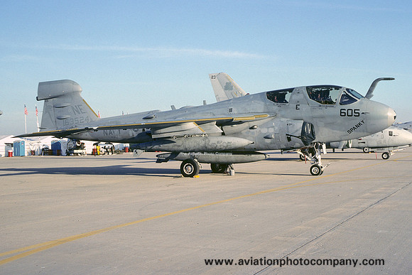 US Navy VAQ-131 Grumman EA-6B Prowler 163524/NE-605 (1991)