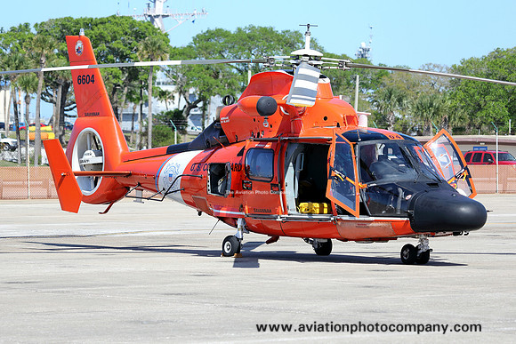US Coast Guard Savannah Aerospatiale MH-65C Dolphin 6604 at NAS Mayport (2013)