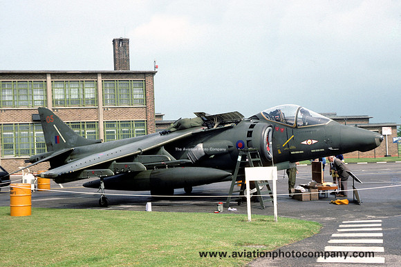 RAF 1 Squadron Hawker Siddeley Harrier GR.5 ZD350/05 (1991)