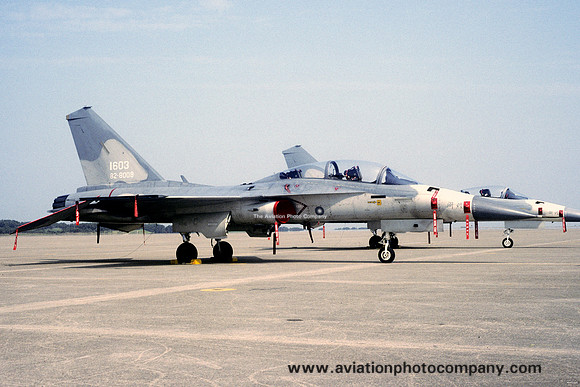 Taiwanese Air Force 3 TFW AIDC F-CK-1 Ching Kuo 82-8009/1603 (1995)