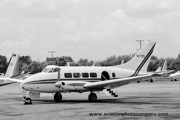 De Havilland Riley Dove 6A N772S (1979)