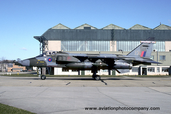 RAF 6 Squadron Sepecat Jaguar GR.1 XZ396/EM (1995)