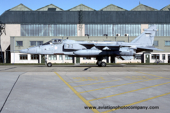 RAF 6 Squadron Sepecat Jaguar GR.1 XZ356/EP at RAF Coltishall (1995)