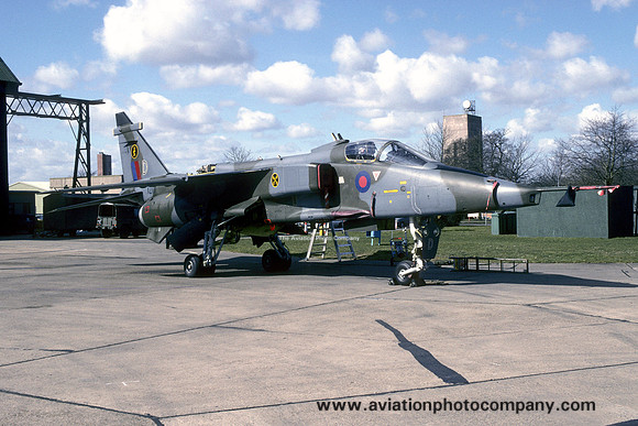 RAF 16 Squadron Sepecat Jaguar GR.1 XZ101/D (1995)