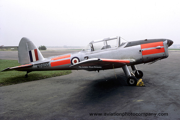 RAF Southampton UAS DHC-1 Chipmunk T.10 WP800 (1969)
