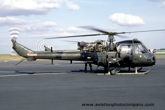 AAC Westland Scout AH.1 XV124 (1981)