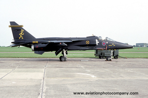 RAF 16 Squadron Sepecat Jaguar GR.1 XX116 (1995)