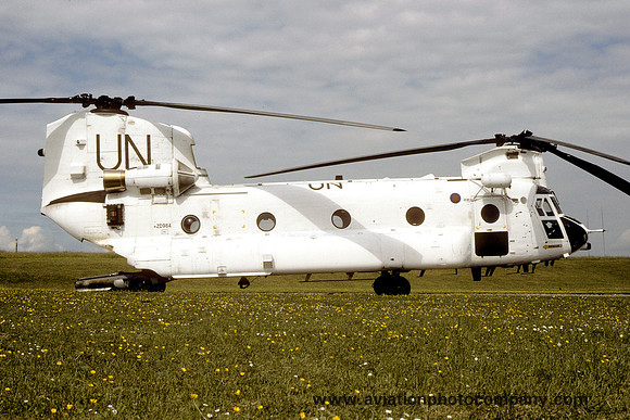 RAF United Nations Vertol Chinook HC.1 ZD984 (1995)