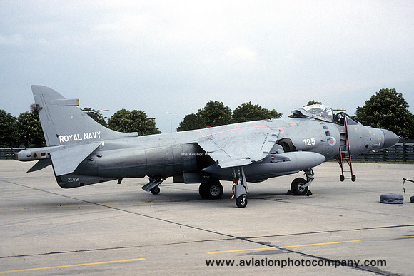 Royal Navy 800 Squadron BAe Sea Harrier F/A.2 ZE691/125 (1995)
