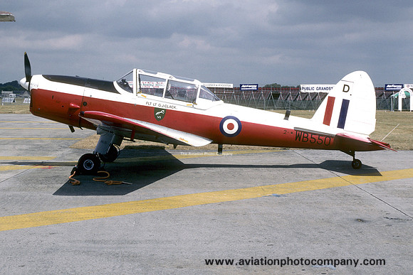 RAF 6 AEF DHC-1 Chipmunk T.10 WB550/D (1995)