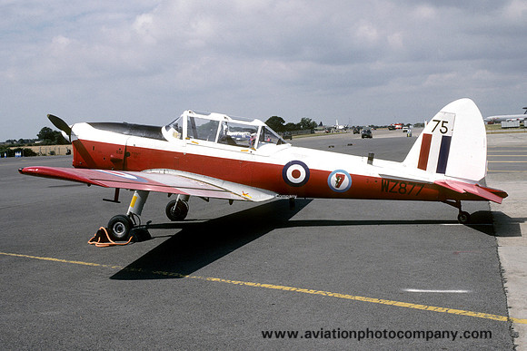 RAF 7 AEF DHC-1 Chipmunk T.10 WZ877/75 (1995)