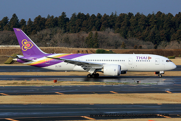 Thai Airways Boeing 787-8 HS-TQD at Tokyo Narita (2015)