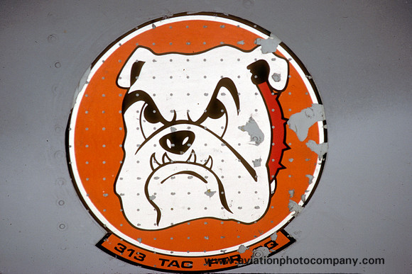 USAF 313th Tactical Fighter Squadron insignia (1986)