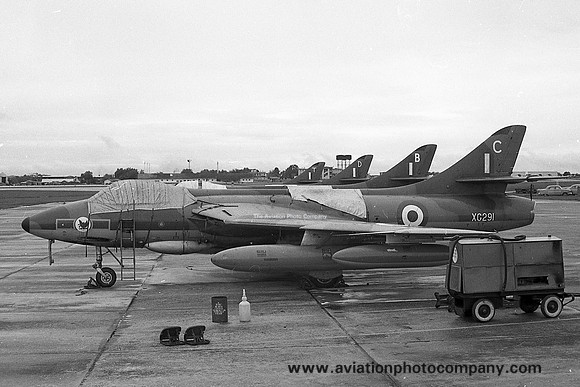 RAF 28 Squadron Hawker Hunter FGA.9 XG291/C (1967)