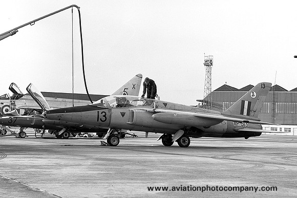 RAF 4 FTS Folland Gnat T.1 XP513/13 (1971)