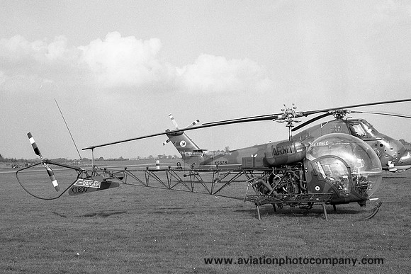AAC 3rd Parachute Regiment Westland Sioux AH.1 XT800 (1968)