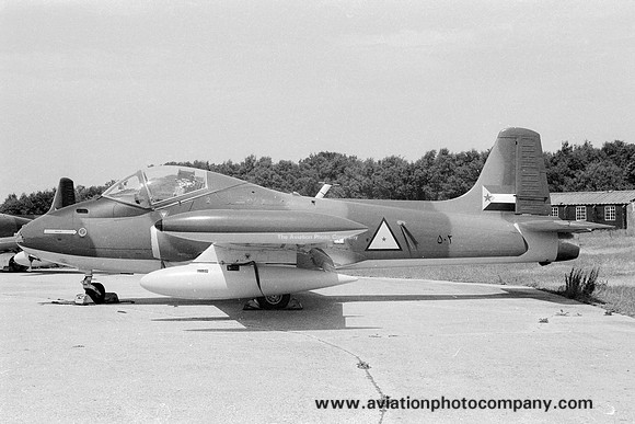 South Yemen Air Force BAC-167 Strikemaster 502 (1969)