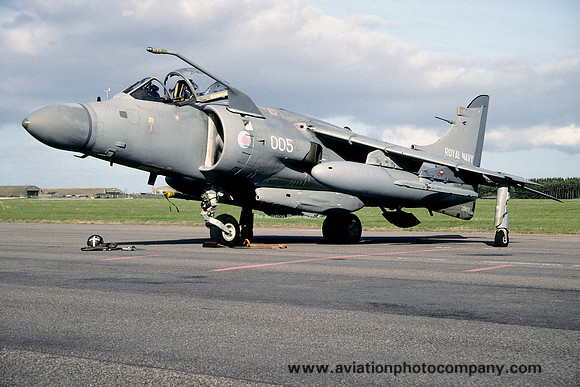 Royal Navy 899 Squadron BAe Sea Harrier F/A.2 ZD613/005 (1995)