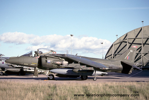 RAF 1 Squadron BAe Harrier GR.7 ZG505/WJ (1995)