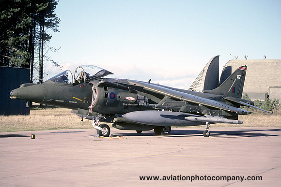 RAF 1 Squadron BAe Harrier GR.7 ZD462/07 (1995)