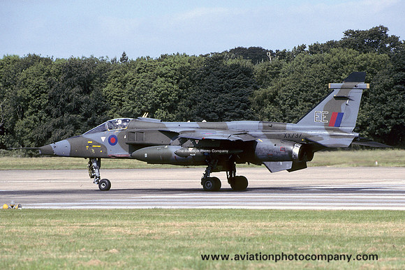 RAF 6 Squadron Sepecat Jaguar GR.1 XX737/EE (1995)