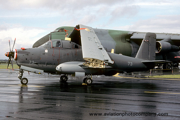 French Navy 6F Breguet Alize 73 (1990)