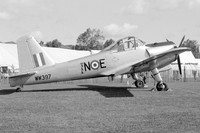 RAF Percival Provost T.1 WW397