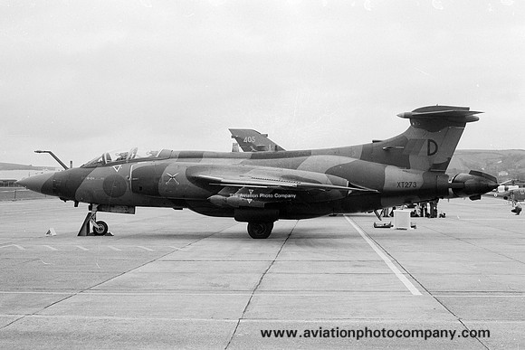 RAF 237 OCU Blackburn Buccaneer S.2 XT273/D (1983)