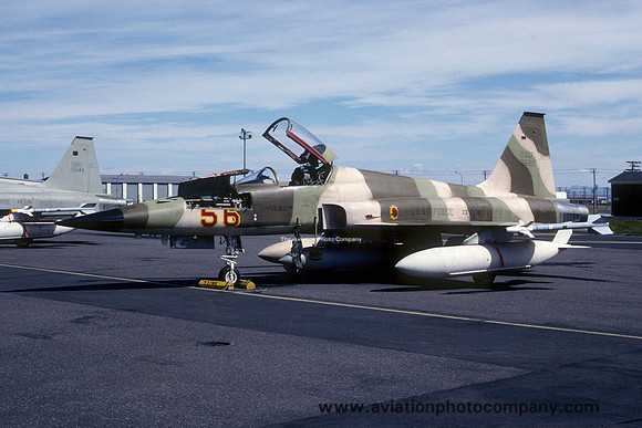 USAF 527 AGRS Northrop F-5E Tiger 74-1556 (1987)