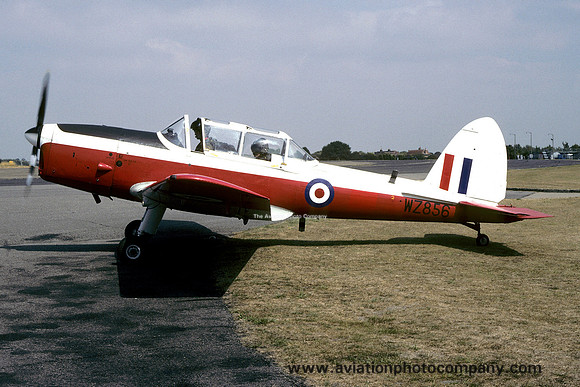 RAF 6 AEF DHC-1 Chipmunk T.10 WZ856 (1995)