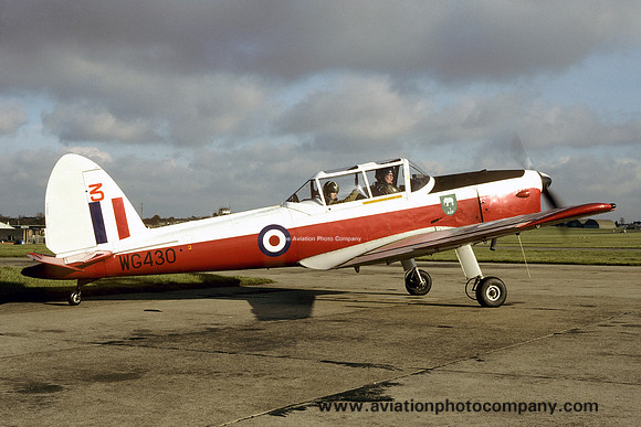 RAF 1 AEF DHC-1 Chipmunk T.10 WG430 (1995)