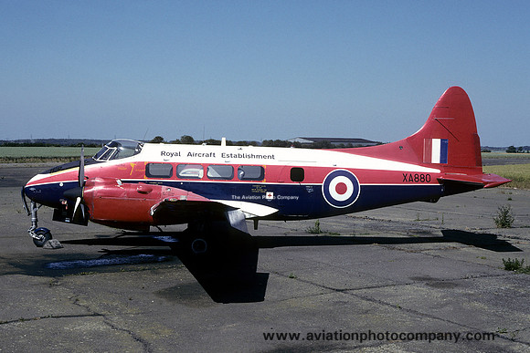 RAE De Havilland Devon C.1 XA880 at Little Staughton (1995)