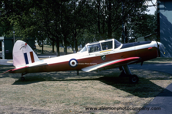 RAF 6 AEF DHC-1 Chipmunk T.10 WP984 (1995)