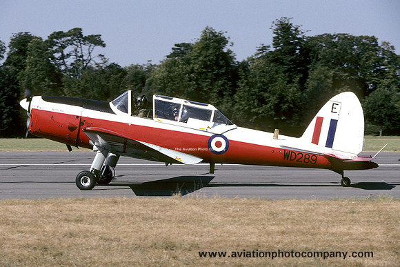 RAF 3 AEF DHC-1 Chipmunk T.10 WD289/E (1995)