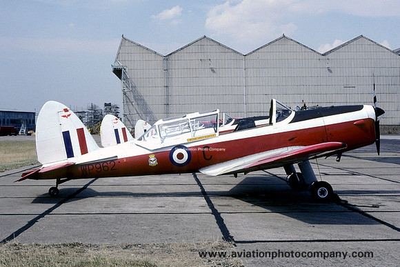 RAF 5 AEF DHC-1 Chipmunk T.10 WP962/C (1995)