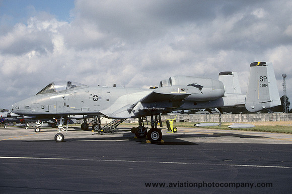 USAF 52nd Fighter Wing 81st Fighter Squadron Fairchild A-10A Thunderbolt 81-0954/SP (2003)