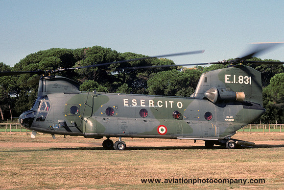 Italian Army Vertol CH-47C Chinook MM81232/EI-831 (199)