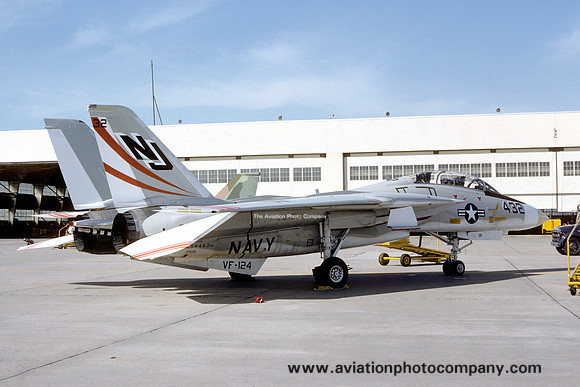 US Navy VF-124 Grumman F-14A Tomcat 159462/NJ-432 (1975)