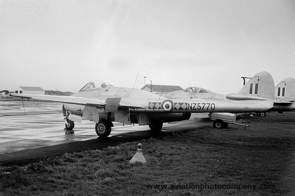 RNZAF 75 Squadron De Havilland Vampire FB.52 NZ5770 (1965)