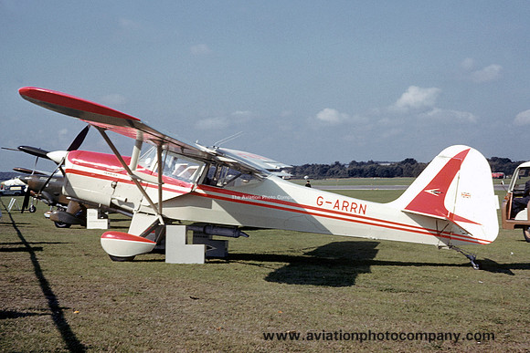 Beagle Terrier G-ARRN