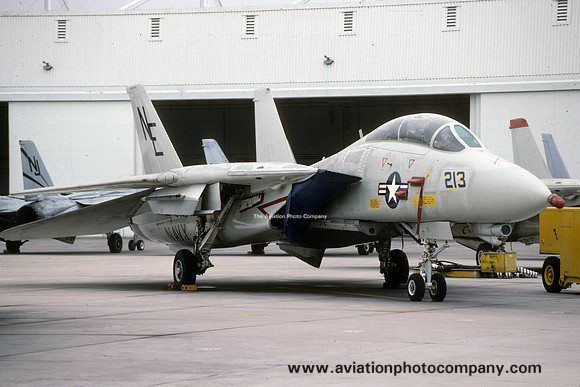 US Navy VF-2 Grumman F-14A Tomcat 161603/NE-213 (1991)