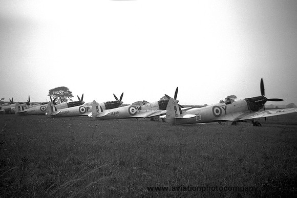 RAF Supermarine Spitfire lineup at RAF High Ercall (1956)