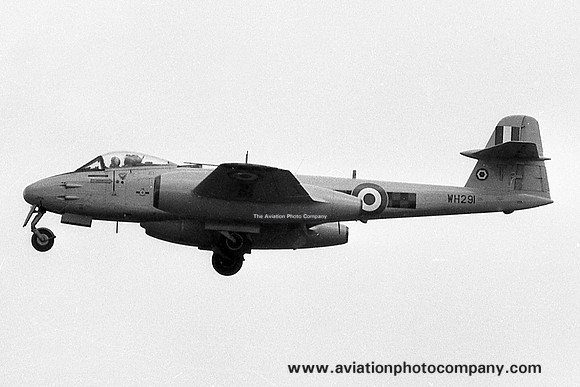 RAF 85 Squadron Gloster Meteor F.8 WH291/T (1969)